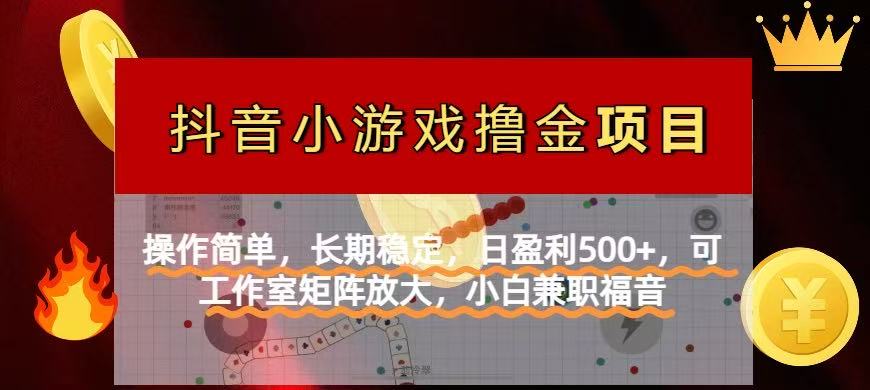 (14290期)【抖音小游戏发行人计划项目】操作简单,长期稳定,日盈利500+,可工作...-轻创终点站